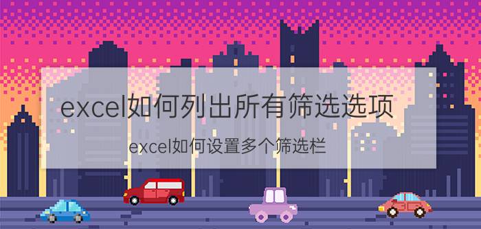 excel如何列出所有筛选选项 excel如何设置多个筛选栏？